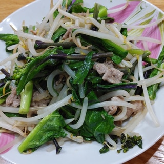 紅菜苔と豚肉、もやしの中華炒め